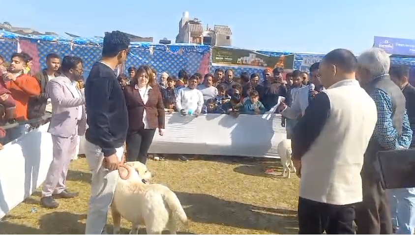 A grand dog show was held at the Hind Inter College grounds in Sambhal, attracting a huge crowd.
