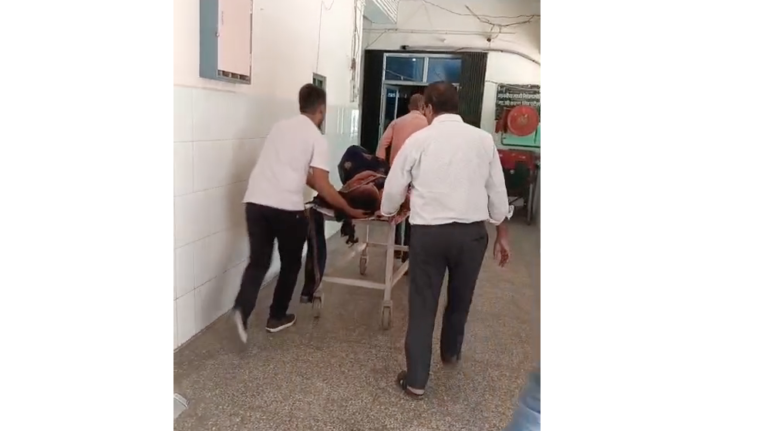 Mother and son fell from their bike while trying to save a blue bull that suddenly appeared on the road.