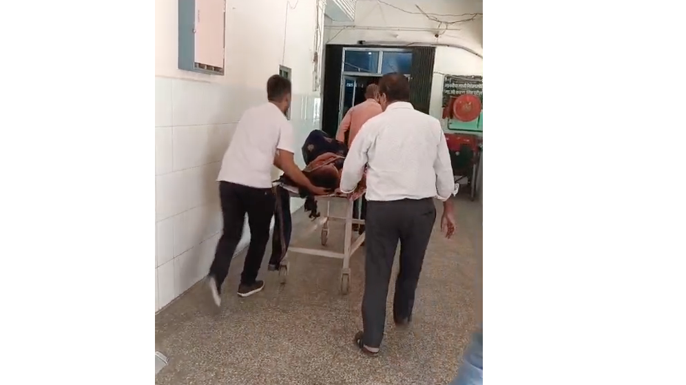 Mother and son fell from their bike while trying to save a blue bull that suddenly appeared on the road.