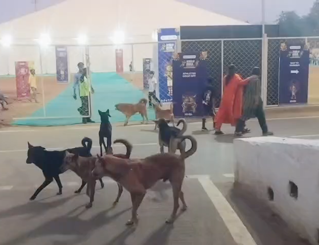 National Tribal Games: “Terror of Dogs” exposes security claims