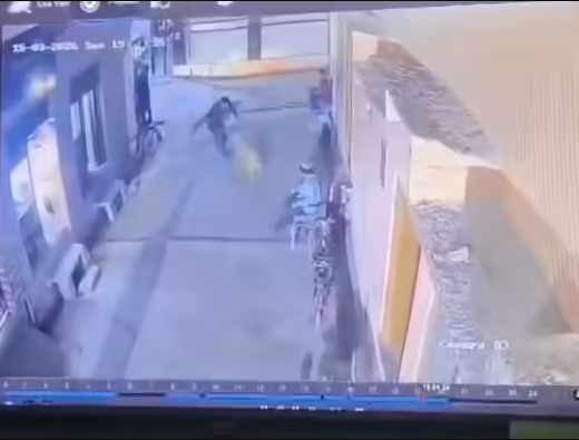 Man Brutally Kills Street Dog in Muzaffarnagar, CCTV Video Sparks Outrage