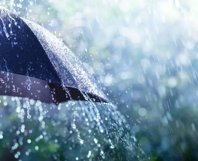 Weather Today 16 March: IMD Warns of Rain and Storms in 17 States Including UP and Punjab, Winds up to 75 km/h