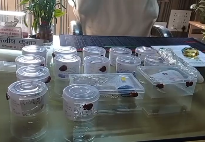 Damoh Police Crack Theft Case in 24 Hours, Accused Arrested with Stolen Goods