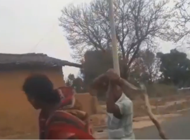 Daughter-in-law Assaulted Over Land Dispute, Case Filed After Video Goes Viral