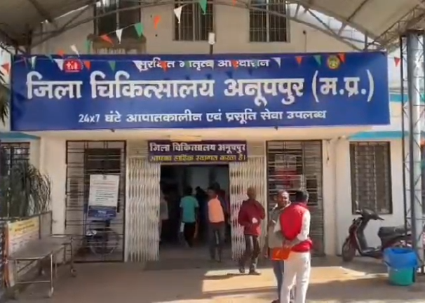 Elephant Attack in Anuppur: 3 Family Members Targeted, Woman Killed, Two Injured