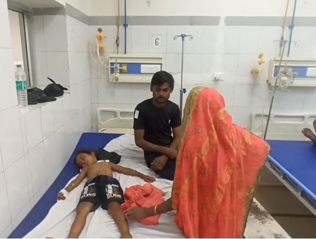 Leopard Attack in Bahraich: 6-Year-Old Injured, Panic Grips Village