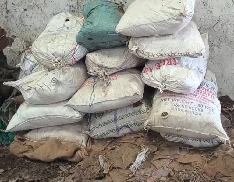 Major Crackdown in Burhanpur: 8.5 Quintals of Illegal Salai Gum Seized, Driver Absconds