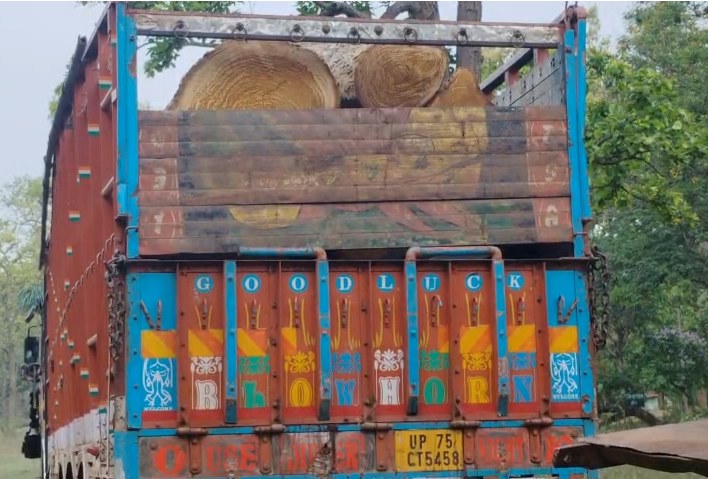 Major Forest Department Action in Bhanpuri: Timber Smuggling Busted, Truck Seized