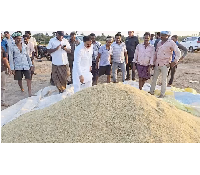 Rabi Paddy Procurement Begins in Andhra Pradesh, 1197 Centers Set Up