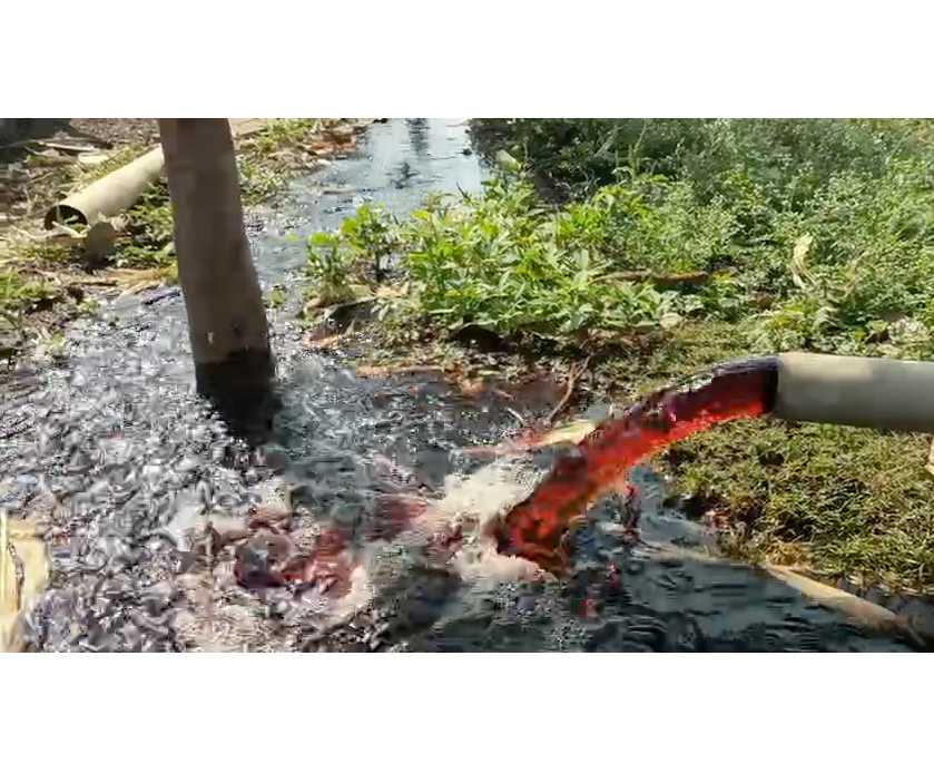 Red and Black Water from Borewell in Barwani’s Rama Faliya Raises Farmers’ Concern