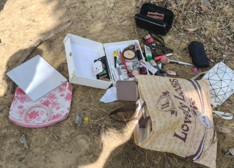 Daylight Theft in Locked House