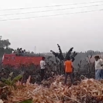 Burhanpur Tragedy: 5 Acres of Crop Destroyed by Fallen Power Line, Farmer Devastated