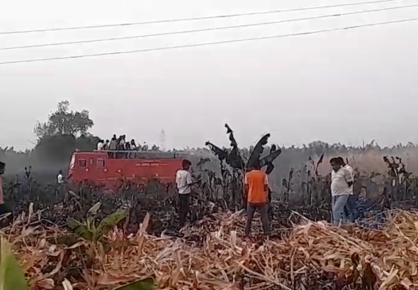 Burhanpur Tragedy: 5 Acres of Crop Destroyed by Fallen Power Line, Farmer Devastated
