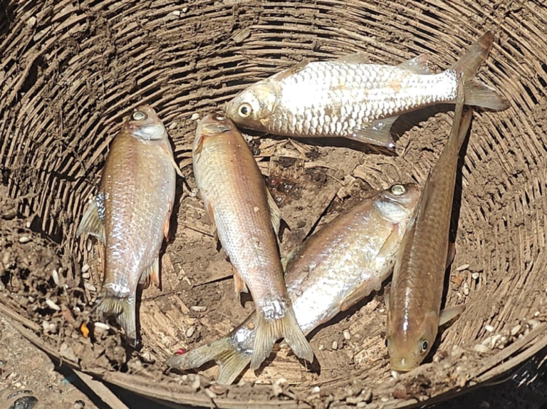 Panic at Rajghat, Public Outrage Grows