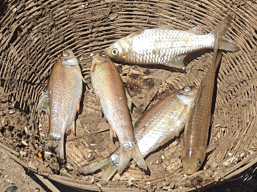 Panic at Rajghat, Public Outrage Grows