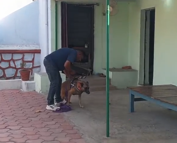 Theft Again at Retired ASI’s House in Korba While Family Attended Wedding