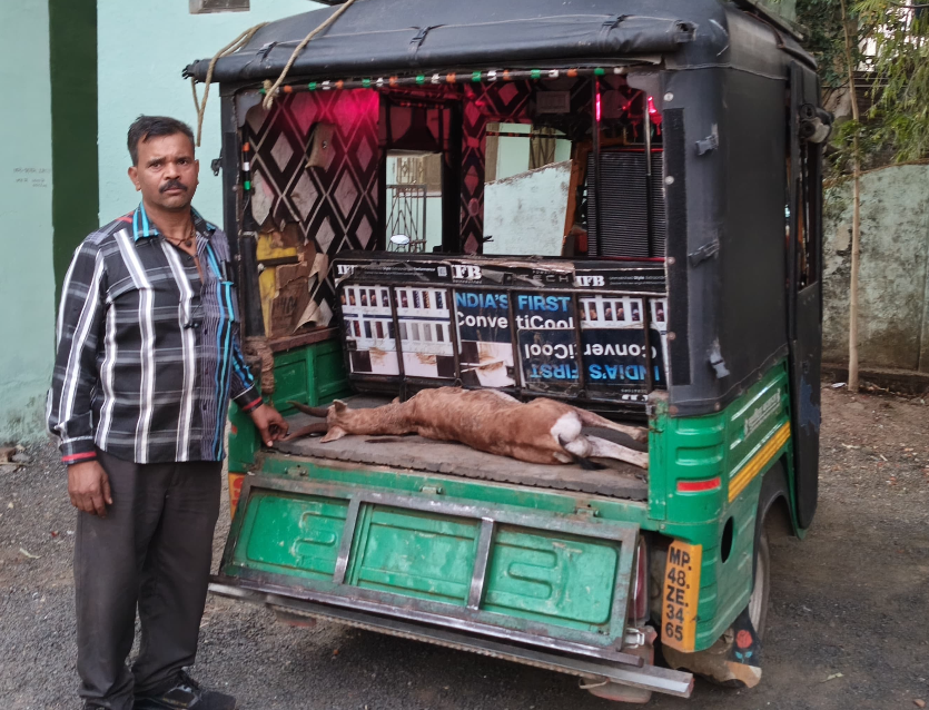 Auto Ambulance Rushes 27 KM to Save Injured Deer, Animal Dies Before Treatment