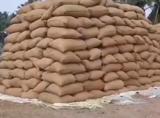 Centre Approves Procurement of 2 Lakh Tonnes of Boiled Rice from Andhra Pradesh