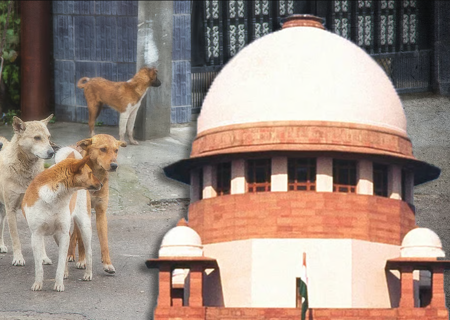 Supreme Court Issues Strict Directions on Stray Dogs