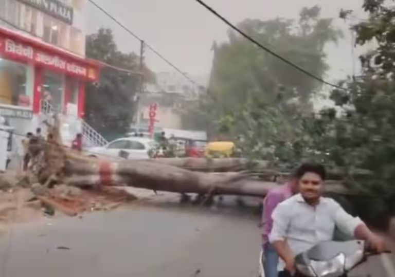 UP Storm Havoc: 56 Dead as Heavy Rain and Thunderstorms Batter Uttar Pradesh, Prayagraj Worst Hit