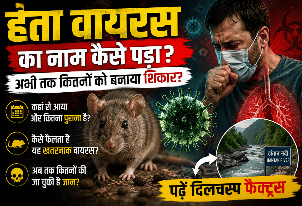 What Is Hantavirus? Know the Origin, History and Interesting Facts About the Deadly Virus