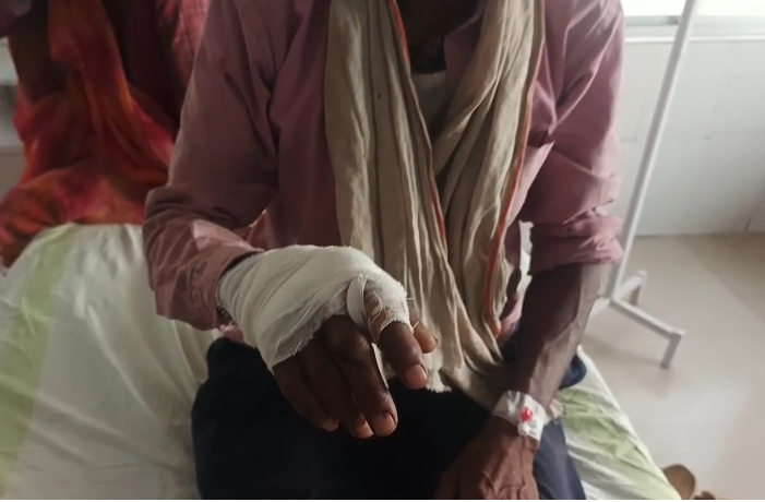 65-Year-Old Farmer Survives Bear Attack After 10-Minute Life-And-Death Battle