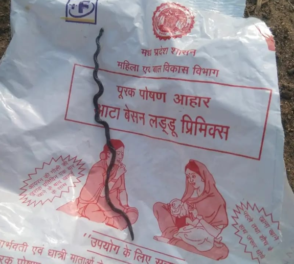 Dead Snake Found In Anganwadi Nutrition Pack, Probe Ordered
