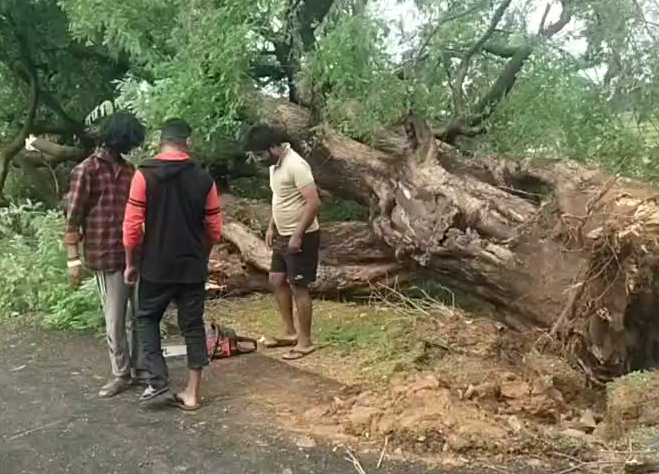 House Collapses In Storm, Family Suffers Heavy Losses; Seeks Compensation