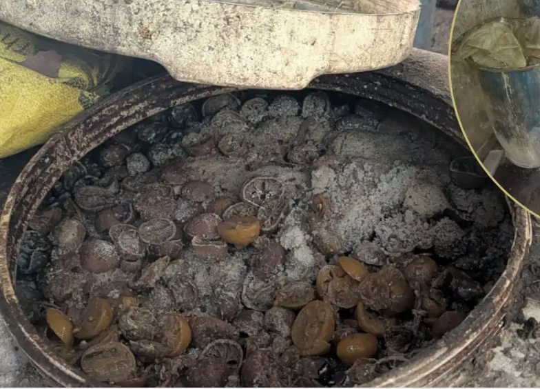 Illegal Pickle Factory Busted in Buffalo Shed, 3.4 Tonnes of Suspected Adulterated Stock Seized in Ghaziabad