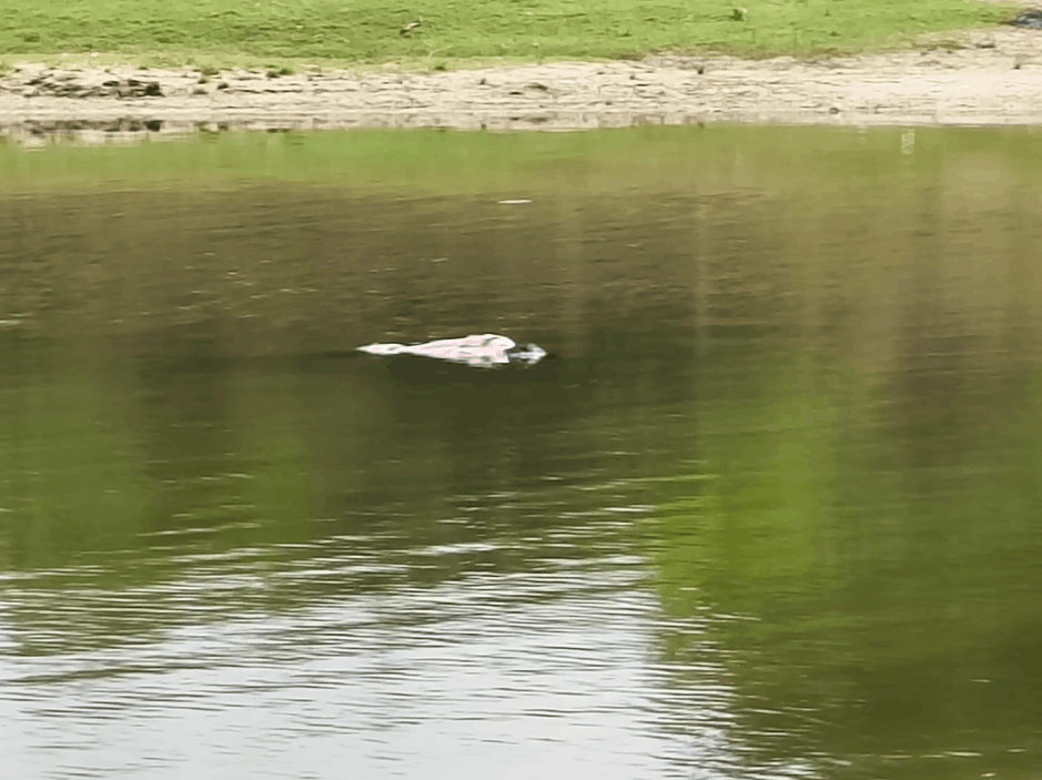 Mystery Deepens After Young Man’s Body Found In Rind River