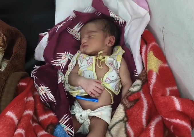 Newborn Allegedly Bitten By Rat In Civil Hospital, Questions Raised Over Safety Measures