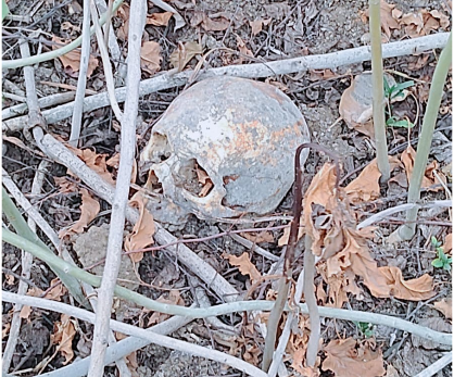Skeleton Of Missing Youth Found After One Year, Sensation In Area