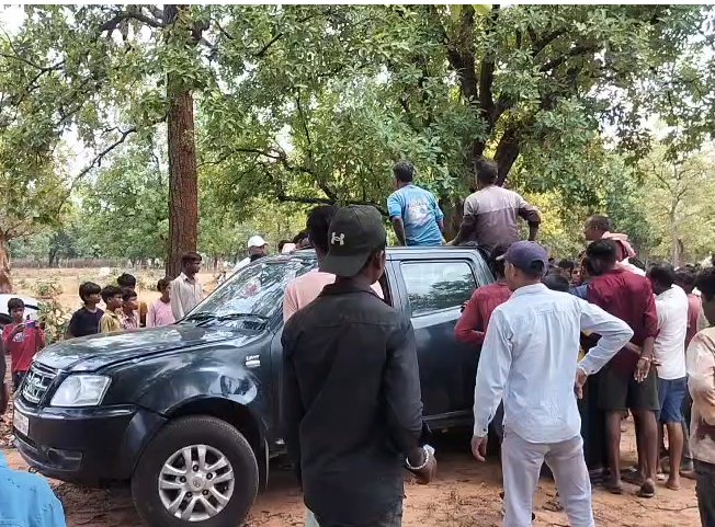 Tiger Attack Claims Elderly Man’s Life In Bandhavgarh Tiger Reserve