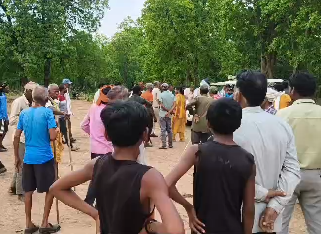 Tiger Kills Youth In Bandhavgarh, Second Attack Reported Within 24 Hours