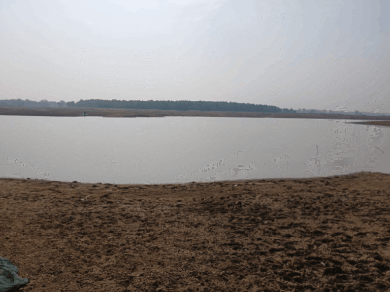 Boat Capsizes In Batra Dam, Three Feared Drowned; Rescue Operation Underway