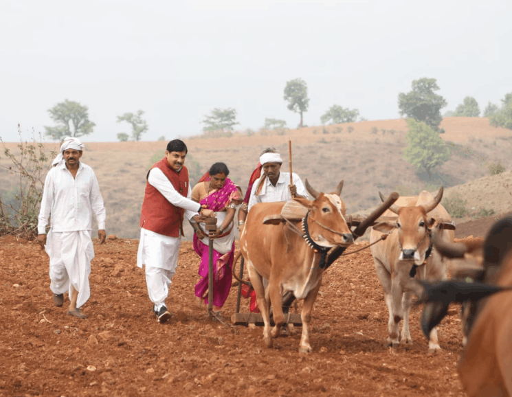 After CM Mohan Yadav, Jitu Patwari Takes to the Fields in Betul; Focus Shifts to Farmers' Issues