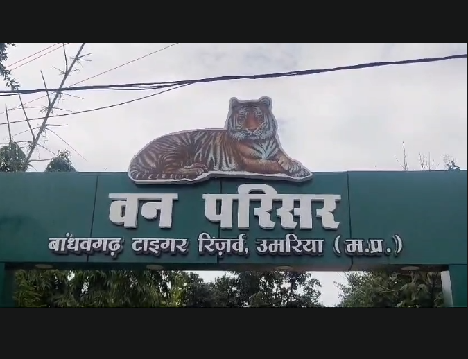 Wild Elephant Attacks House Near Bandhavgarh, Family Escapes Unhurt