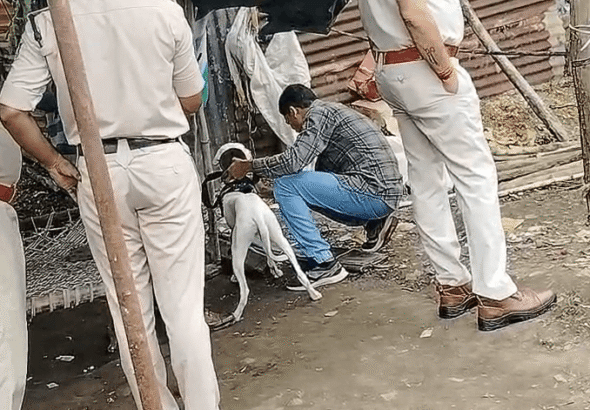 Man Murdered at Liquor Den in Burhanpur, Police Launch Search for Accused
