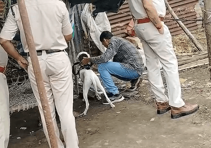 Man Murdered at Liquor Den in Burhanpur, Police Launch Search for Accused