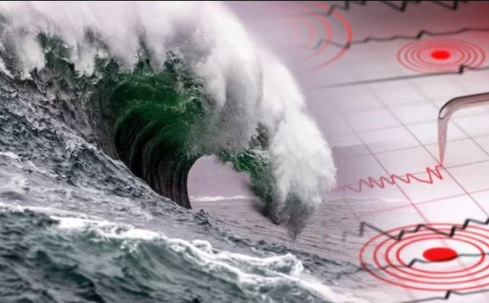 7.1 Magnitude Earthquake Strikes Japan, Buildings Damaged; Tsunami Alert Issued