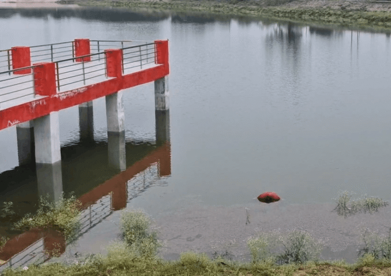 Jhansi: Missing Youth Found Dead in Pond After Three Days, Police Investigating