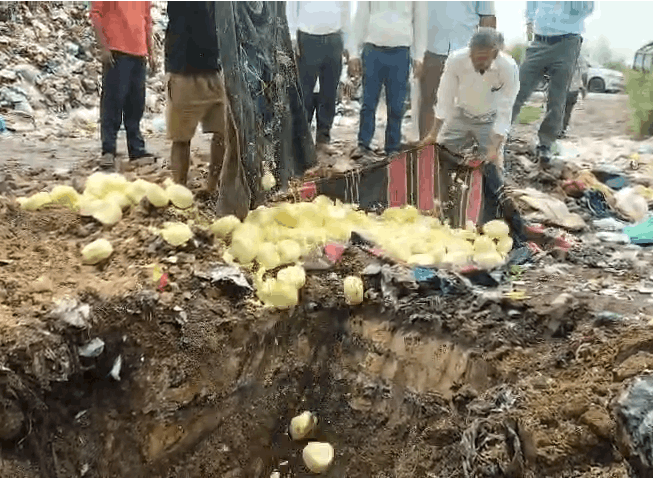 Baghpat: Food Department Destroys 210 Kg of Mawa Ahead of Raksha Bandhan, FIR Registered