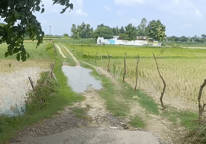 Shravasti School Struggles with Damaged Road and Power Crisis, Students Seek Relief