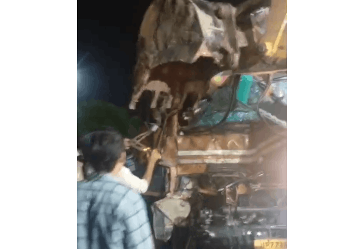 Auraiya: DCM Driver Killed After Highway Collision Triggered by Stray Cattle