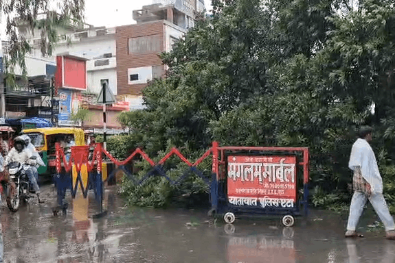 Etah: 50-Year-Old Tree Collapses on GT Road Amid Heavy Rain, Major Accident Averted
